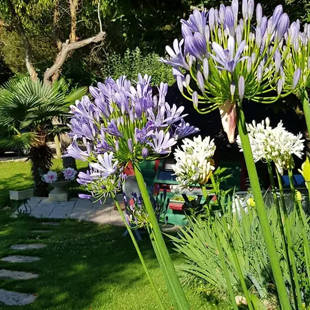 Bed & Breakfast Le Clos De La Pagerie *